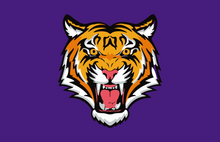 Load image into Gallery viewer, Acrylic serving Tray - Baton Rouge LOUISIANA LSU Collection - GAMEDAY 12X12 MEDIUM