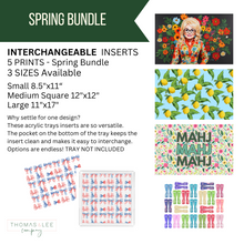 Load image into Gallery viewer, Acrylic Tray Interchangeable Insert Set of 5 - Pick your size - Spring 2025