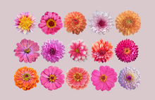 Load image into Gallery viewer, Acrylic Serving Tray - SUMMER FUN 2025 Collection - 8.5 X 11 - SMALL