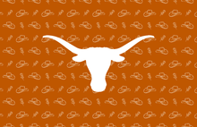 Load image into Gallery viewer, Acrylic serving Tray - Austin Texas Collection - GAMEDAY 8.5 X 11 SMALL
