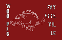 Load image into Gallery viewer, ART ONLY Tray Insert - Arkansas Collection - GAMEDAY - 11x17 LARGE
